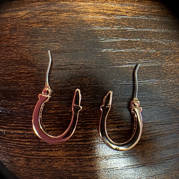 Coach Elegant Rose Gold Hoop Earrings - Picture 6 of 8